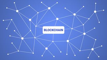 leyu乐鱼官网登录入口-英超青训引入虚拟现实技术强化战术理解和实战演练，英超青训最好的球队