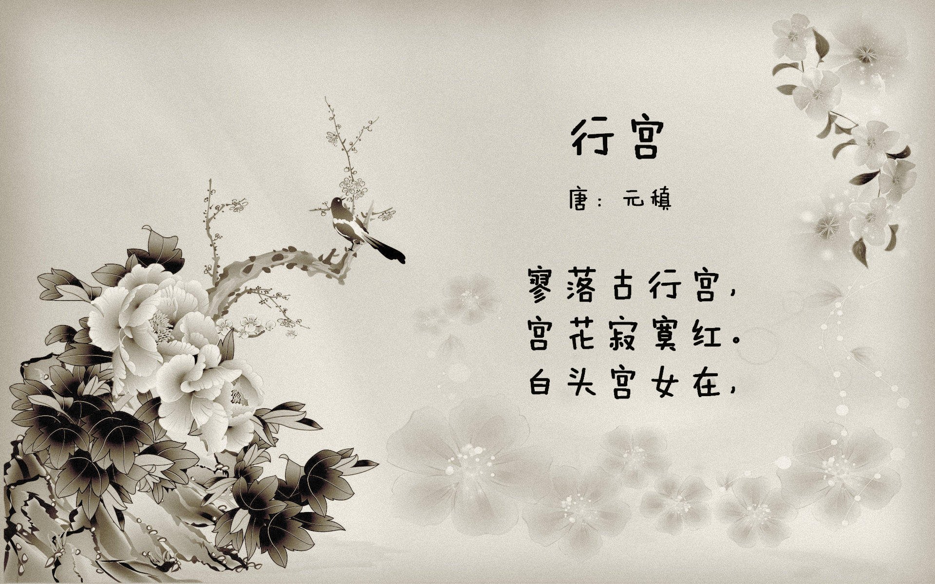 Chinese Taipei团队的未来:从本土强队到世界冠军,taipei of china