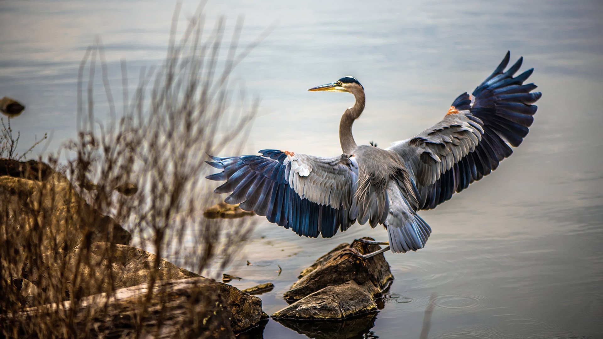 乐鱼（LEYU）体育-中超联赛中国女足爆冷 球迷鼓励继续努力，中超女足联赛2021