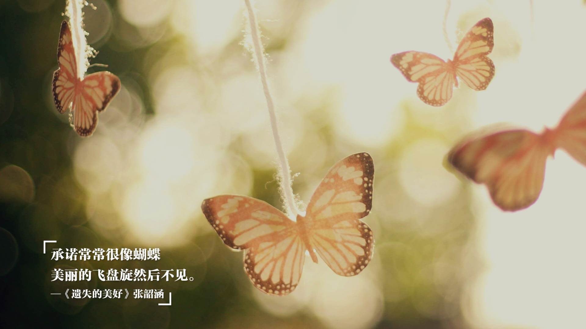 体育文化活动促进社会和谐发展,体育促进文化交流