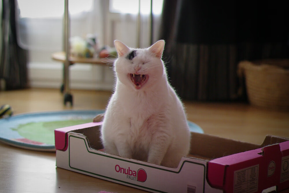 校园足球未形成阶段性成长体系，校园足球现阶段问题