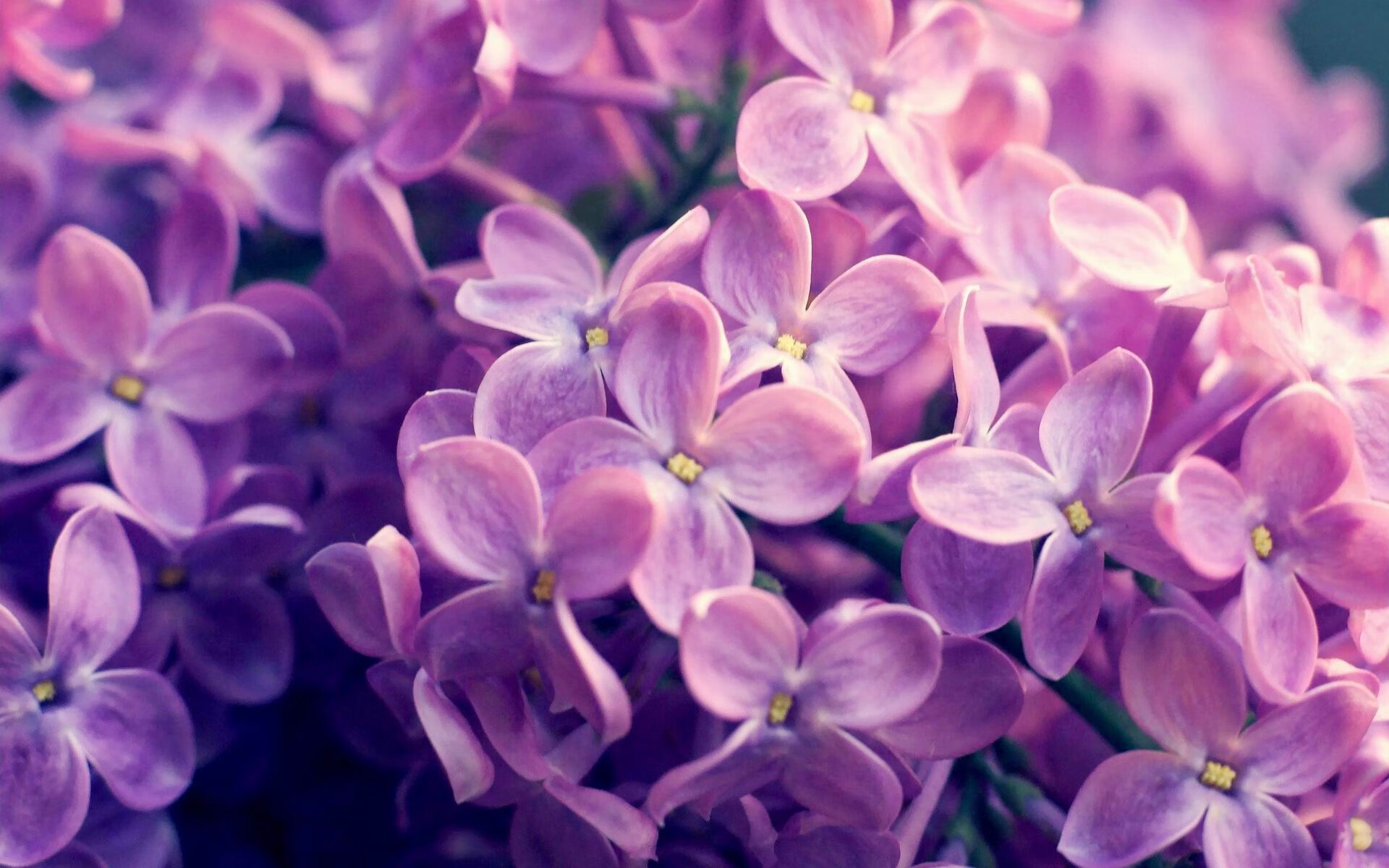 乐鱼体育App下载-“南非羚羊队备战世界杯，霍斯特的表现备受期待”