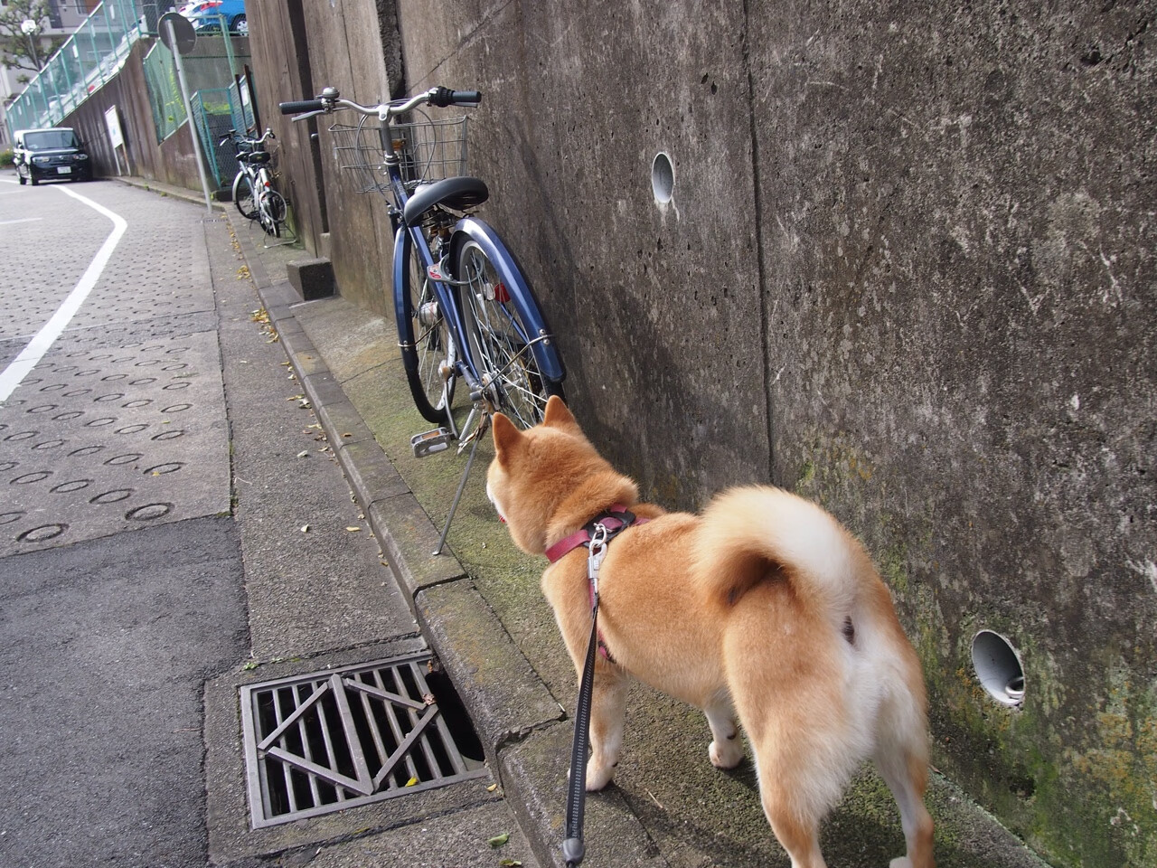 乐鱼官网-中超推动五人制训练项目提升球员空间掌控能力，中国足球五人制比赛规则