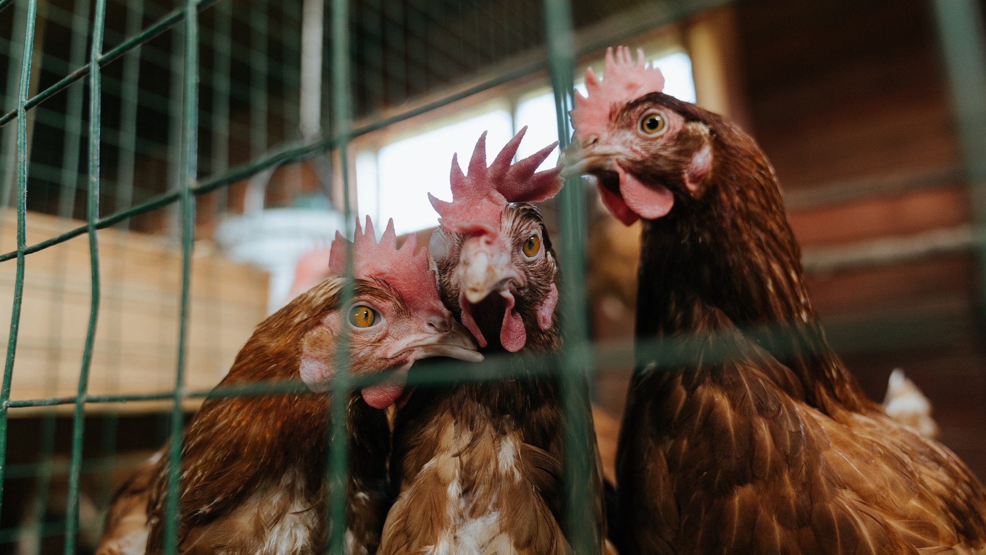 中超推动五人制训练项目提升球员空间掌控能力，中国足球五人制比赛规则