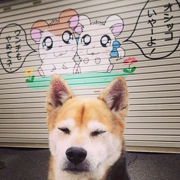 主教练提醒球员避免情绪波动强调稳定心态是关键因素，如何管理球员在比赛中的情绪