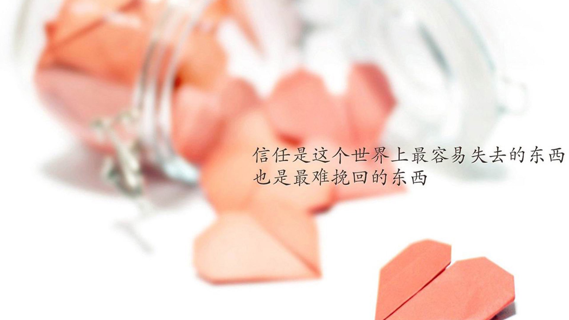 南非春bok队的反弹，能否挑战全黑队的统治地位，南非春苗行动什么时候开始