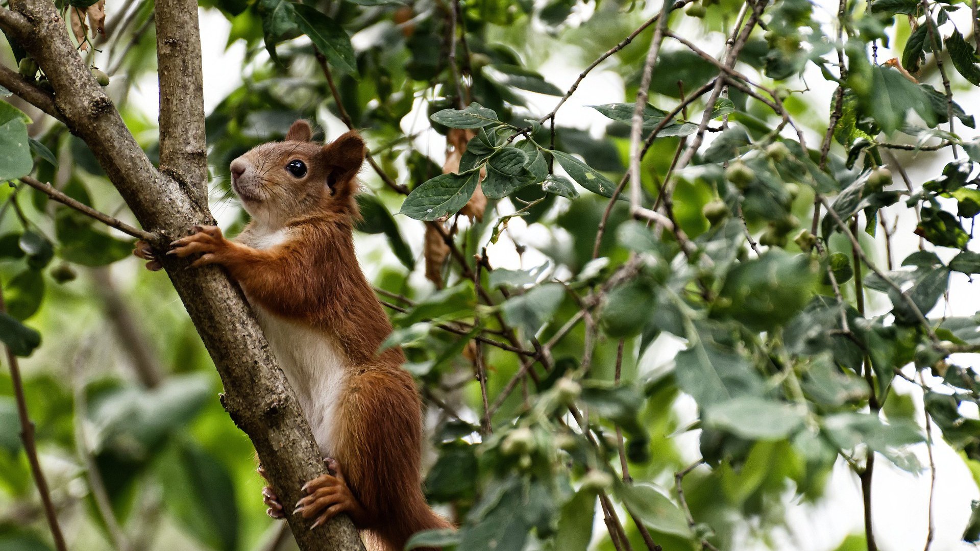 基层联赛推动体育下沉城市体育基础建设加快发展,基层体育竞赛的比赛方法