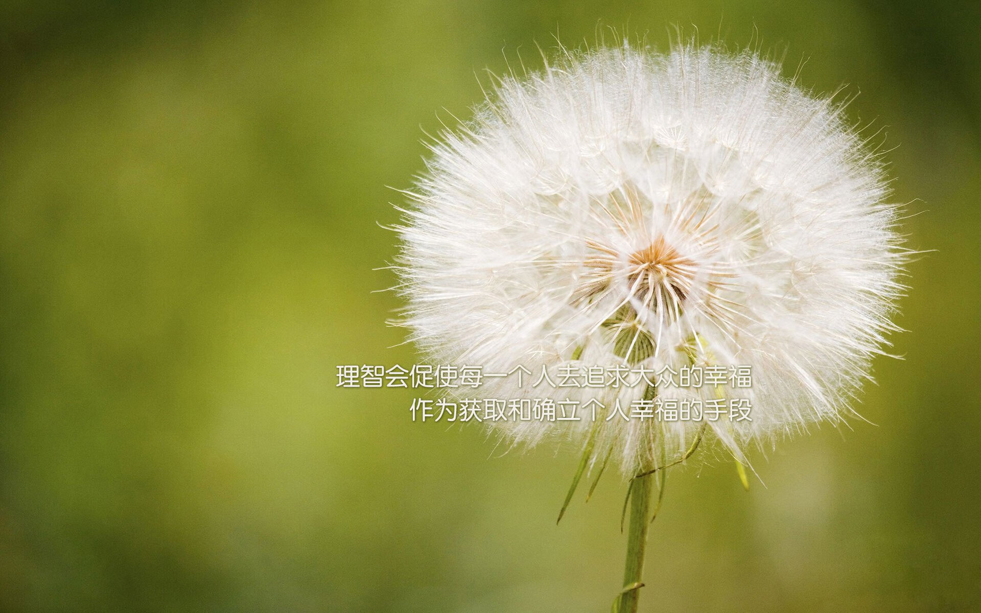 德甲战局骤变：精彩瞬间激燃全场！，德甲揭幕战