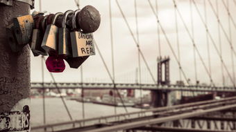 乐鱼体育平台官网-意甲科技装备驱动的训练体系