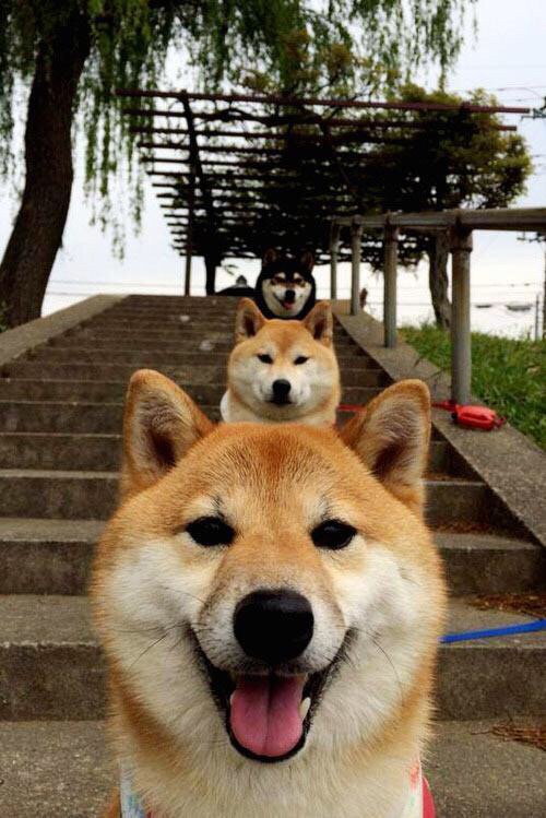 乐鱼（LEYU）体育-新闻中心发布体育特色小镇年度验收标准参考稿，特色体育小镇发展的背景