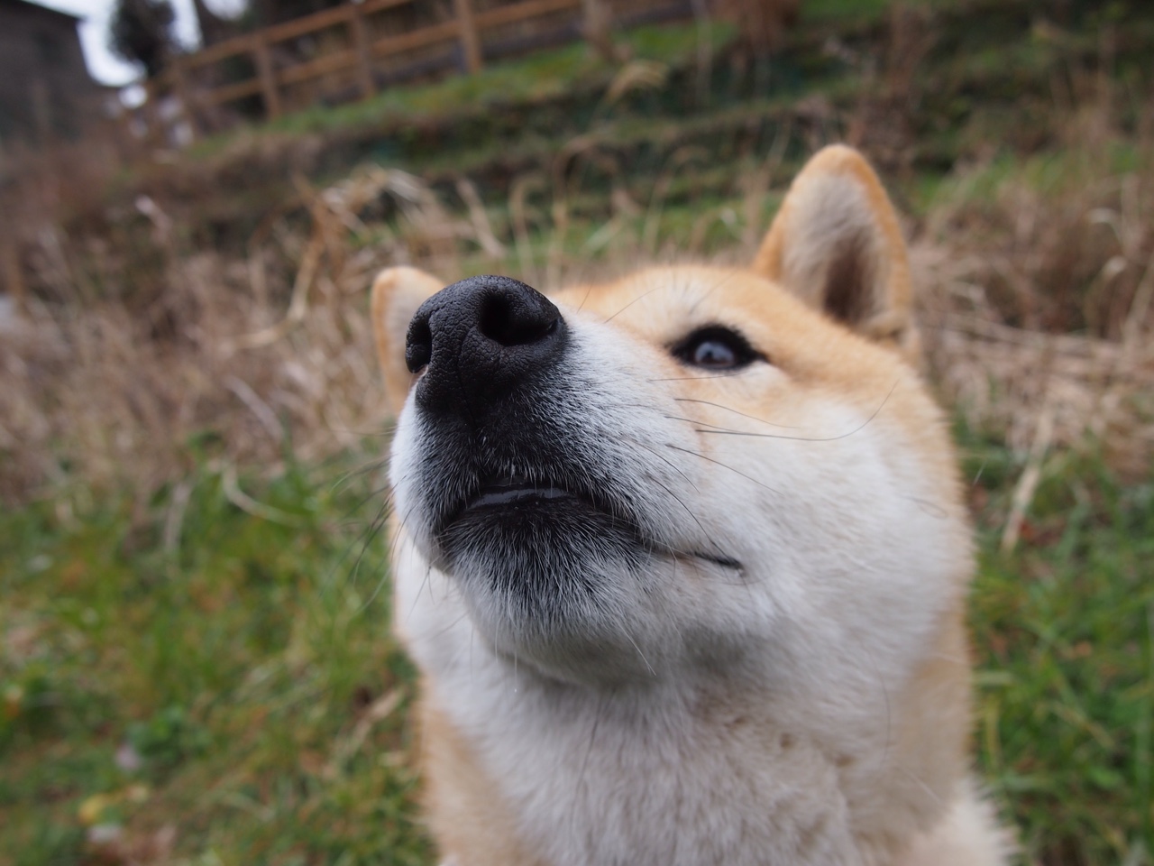 乐鱼体育-6500万镑解约金助力凯恩回归，热刺续写辉煌，凯恩里程碑,热刺完胜